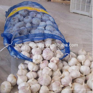 5cm garlic for Angola